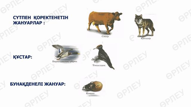 І тоқсан, жаратылыстану, 2 сынып, 6 сабақ смотреть онлайн