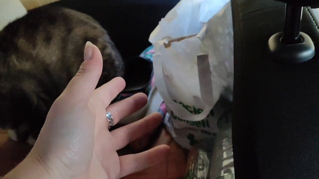 Aménagement d'une voiture nomade ! Dacia Sandero смотреть онлайн