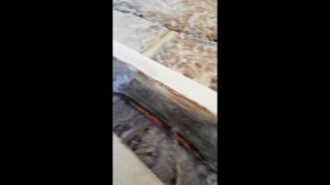 Конденсат в утеплителе. На мансардном этаже .Нужна ли пароизоляция?