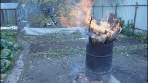 Зола курам в зимний курятник