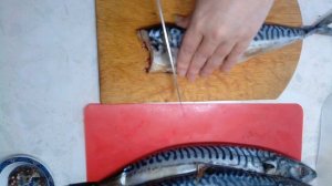 НА ПРИЛАВКАХ МАГАЗИНОВ ИСЧЕЗНЕТ ЭТА РЫБА! МАЛОСОЛЬНАЯ СКУМБРИЯ.