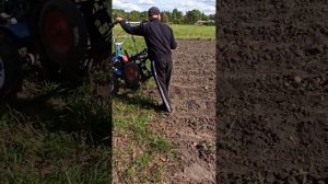 2022 год копка картофеля картофелекопалкой ККМ-1.