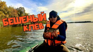 Рыбалка ОСЕНЬЮ на ЛЕТНЮЮ приманку. Рыбалка на Донце