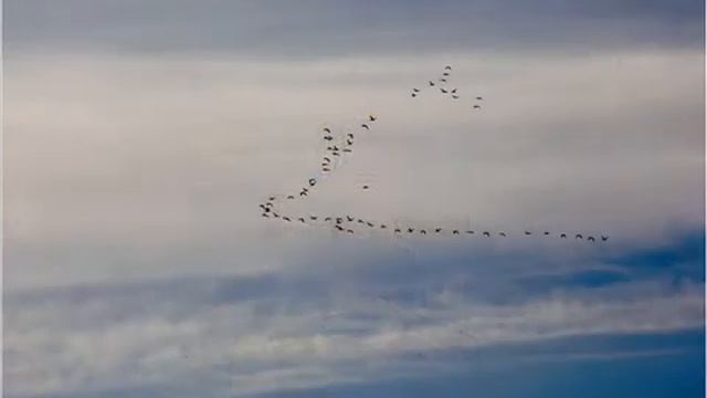 коридор - ветер странствий ВАРИАНТ 2 смотреть онлайн