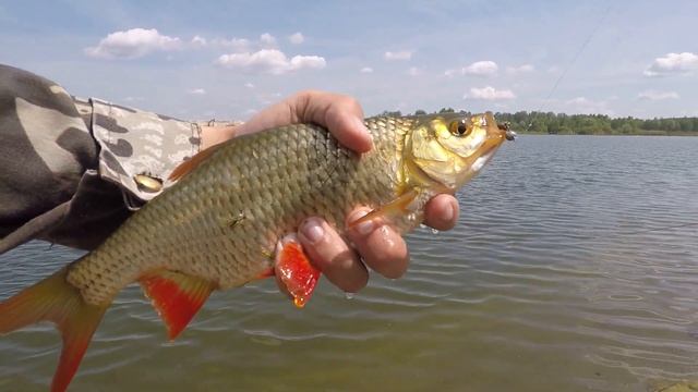 красноперка. матырское водохранилище. ультралайт смотреть онлайн