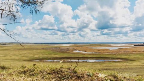 Природа алаас Мүрү