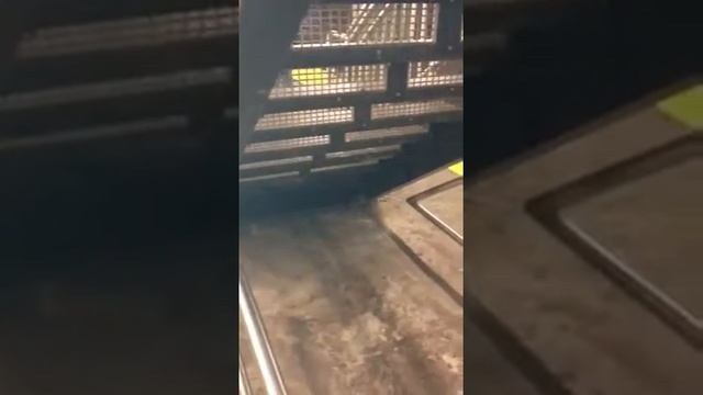 Rat on platform NYC subway