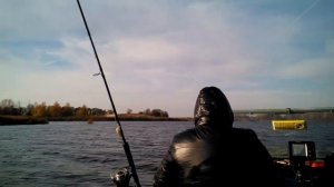 За судаком. Лодка Крым, Tohatsu 9.8