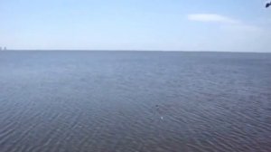 Каховское водохранилище - ловим бычков