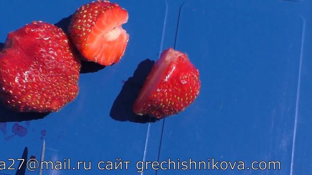 КРОШКА земклуника