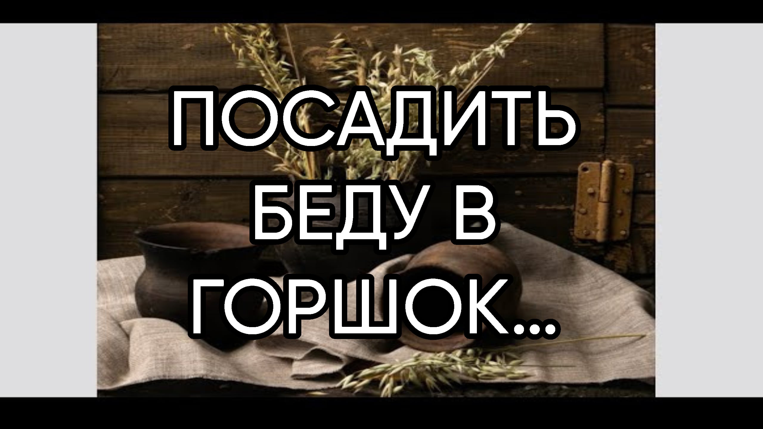 ПОСАДИТЬ БЕДУ В ГОРШОК…ДЛЯ ВСЕХ…