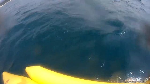 КАТАНИЕ НА БАНАНЕ АДЛЕР смотреть онлайн