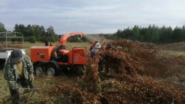 Измельчение деревьев, мой опыт!