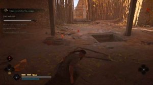 Assassin's Creed Valhalla Данвик испытание ворона на золото