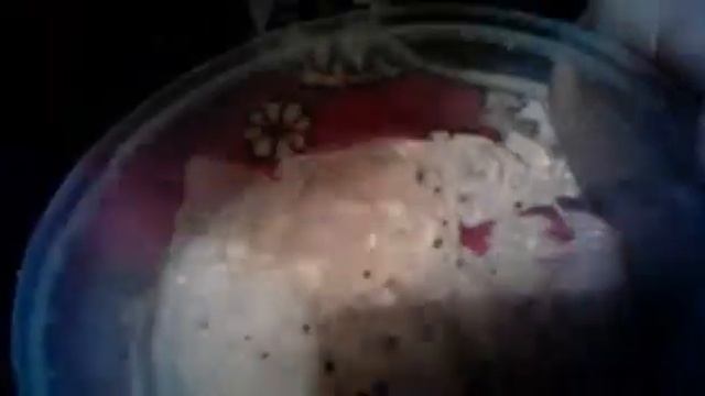 Как вырастить кактус на туалетной бумаге