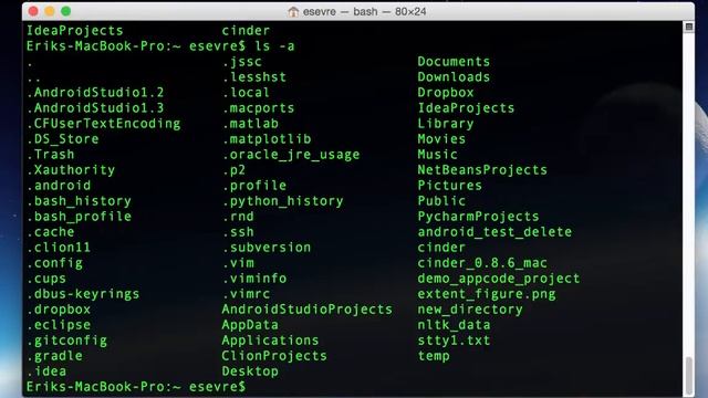 Linux Terminal Tutorial
