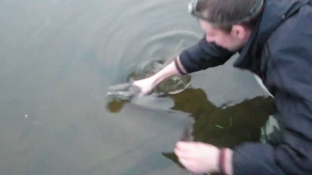 квок на сома (прикол) смотреть онлайн