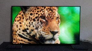 Телевизор 8К 55 дюймов LG 55NANO956NA