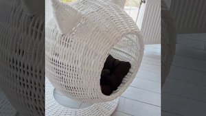 Лежанка для кота подвесная.