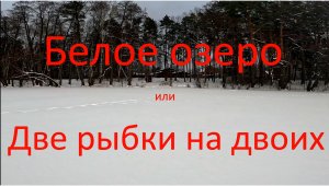 Белое озеро или Две рыбки на двоих. Белоозёрский. 15.01.2024.