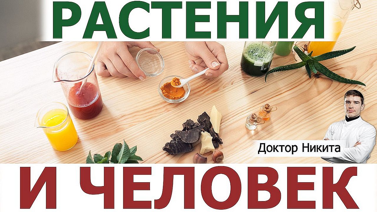 Царство Растения и здоровье человека. Растительные лекарства и пища. Что стало с фитотерапией