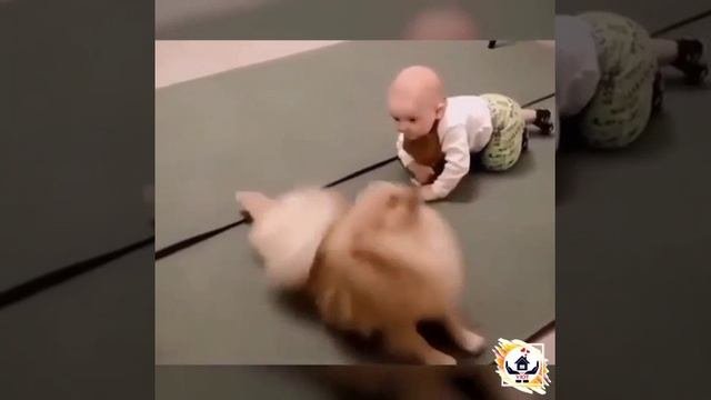 обмен на́выками