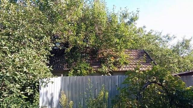 Село Высоцкое, воскресенье,06.08.23г. Колокольный Звон.))) смотреть онлайн