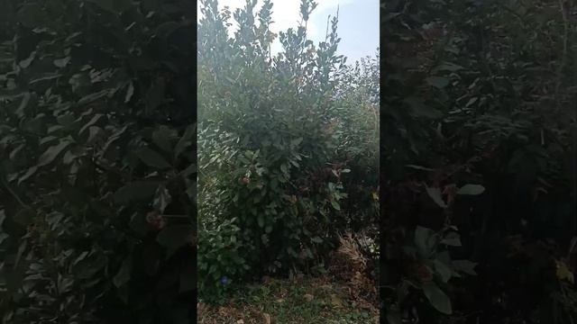 vlog? Море зовёт?
