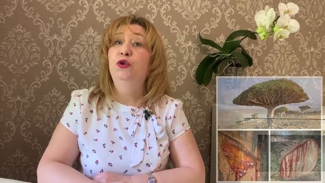 Лекция для детей "Чудо-дерево"