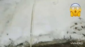 Смотри как живут в городе Кронштадте. #Кронштадт