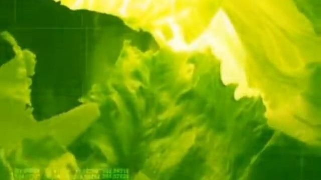 Зелёный слизняк смотреть онлайн