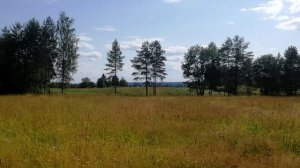 Солнечное 1 га у фермы