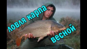 Ловля карпа весной. Карпфишинг