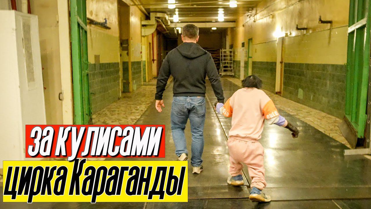 ПОДГОТОВКА К ПРЕМЬЕРЕ! ШИМПАНЗЕ Боня и Дан Запашный за кулисами цирка Караганды смотреть онлайн