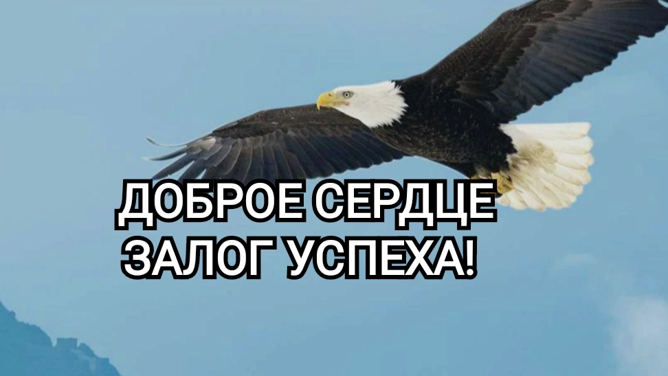 ДОБРОЕ СЕРДЦЕ - ЗАЛОГ УСПЕХА | Одно из лучших посланий Источник Взывающего. Беларусь