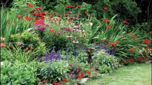 «КРАСИВЫЕ КЛУМБЫ и ЦВЕТНИКИ для ДАЧИ»