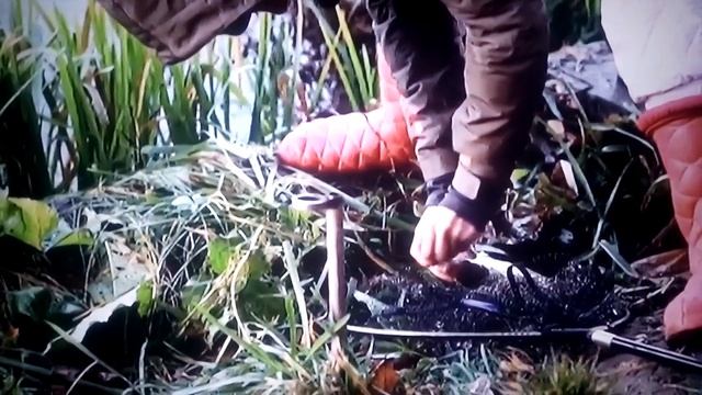 Рыбачка, Настя, профессионалка со стажем, любит ловить больших подлещиков! смотреть онлайн