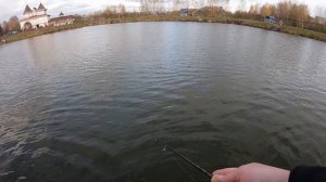 Когда подобрал блесну, форель ловиться! / Форелевая рыбалка в РК ProFishing & Озеро Понти.