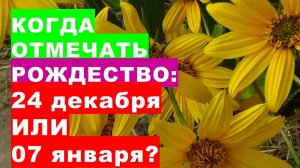 Когда правильно отмечать Рождество  24 декабря или 7 января?When to correctly celebrate Christmas on