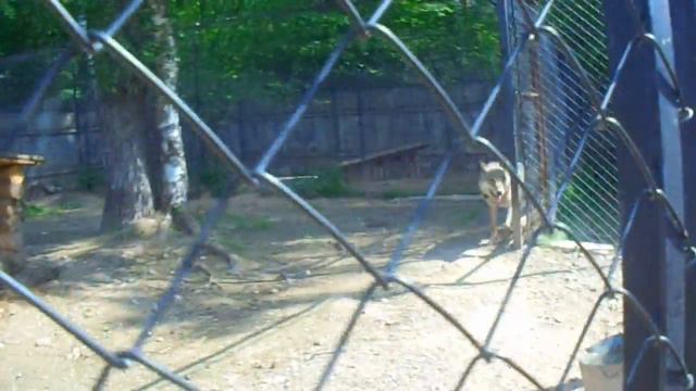 я в пушкинских горах смотреть онлайн