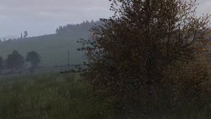 Подобрал пароль к базе клана - DayZ
