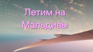 1 серия. Летим на Мальдивы. Вылет из аэропорта Шереметьево с пересадкой в Абу-Даби, ОАЭ.