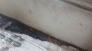 Самодельная бетономешалка на заднюю навеску трактора