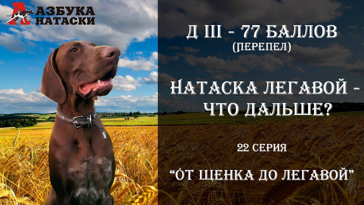 Полевые испытания Яси - д 3 - 77 баллов