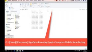 [Windows] How To Transfer iPhone Text Messages To Android Phone