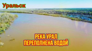 Река Урал переполнена водой!