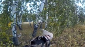 Металлокоп. Вот так и ищу металл в лесу! Результат отличный!