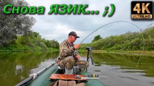 Нахлыст. Кудьма, снова язь...