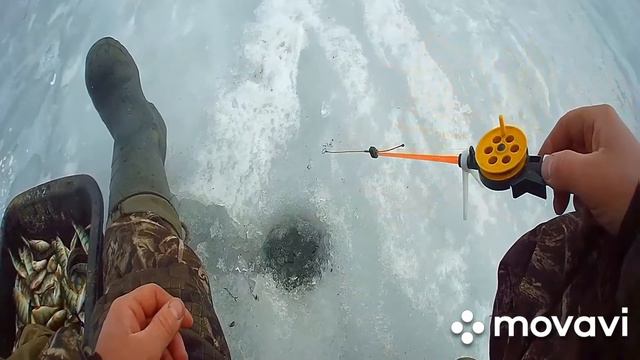 Ловля окуня на казыкуле
