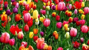 ПОДБОРКА ПЕСЕН НА ПАСХУ 2022 | Христианские песни